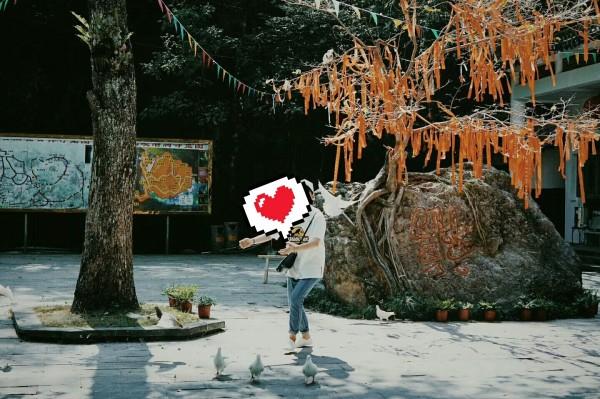 网络公司逃脱